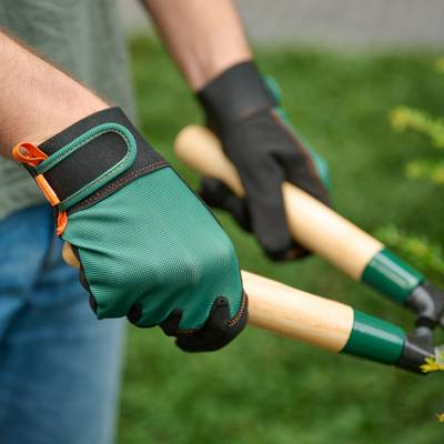 Siena Garden Kerti kesztyű Méret (kesztyű): 10, XL 1 pár (T94289) (T94289)