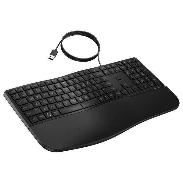 HP 485 CFT WD KBD toetsenbord Kantoor USB Zwart