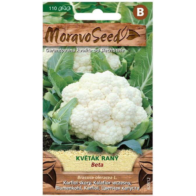 Karfiol korai BETA (1431mm)