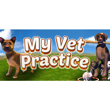 My Vet Practice (PC - Steam elektronikus játék licensz)