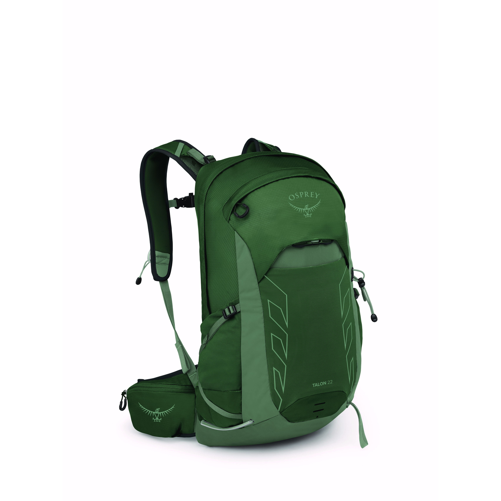 Osprey Talon 22 l Green Canopy/Pine Leaf (10054192OSP)