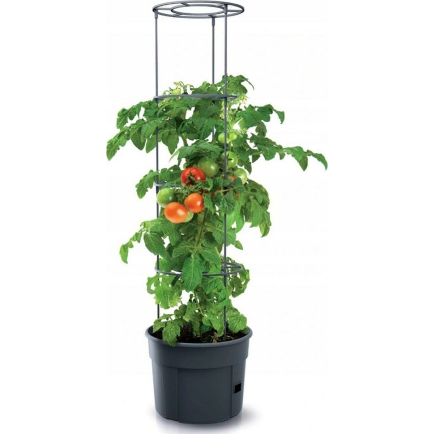 Prosperplast TOMATO GROWER kaspó paradicsom termesztésre 39,2 cm antracit (CEN-72583)