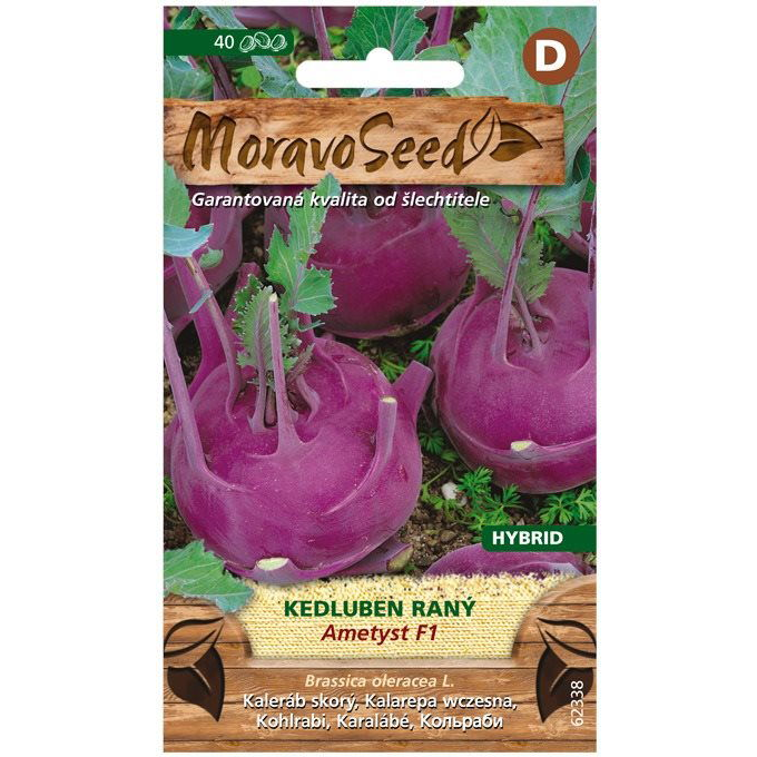 MORAVOSEED Karalábé korai kék AMETYST F1 (1247mm)