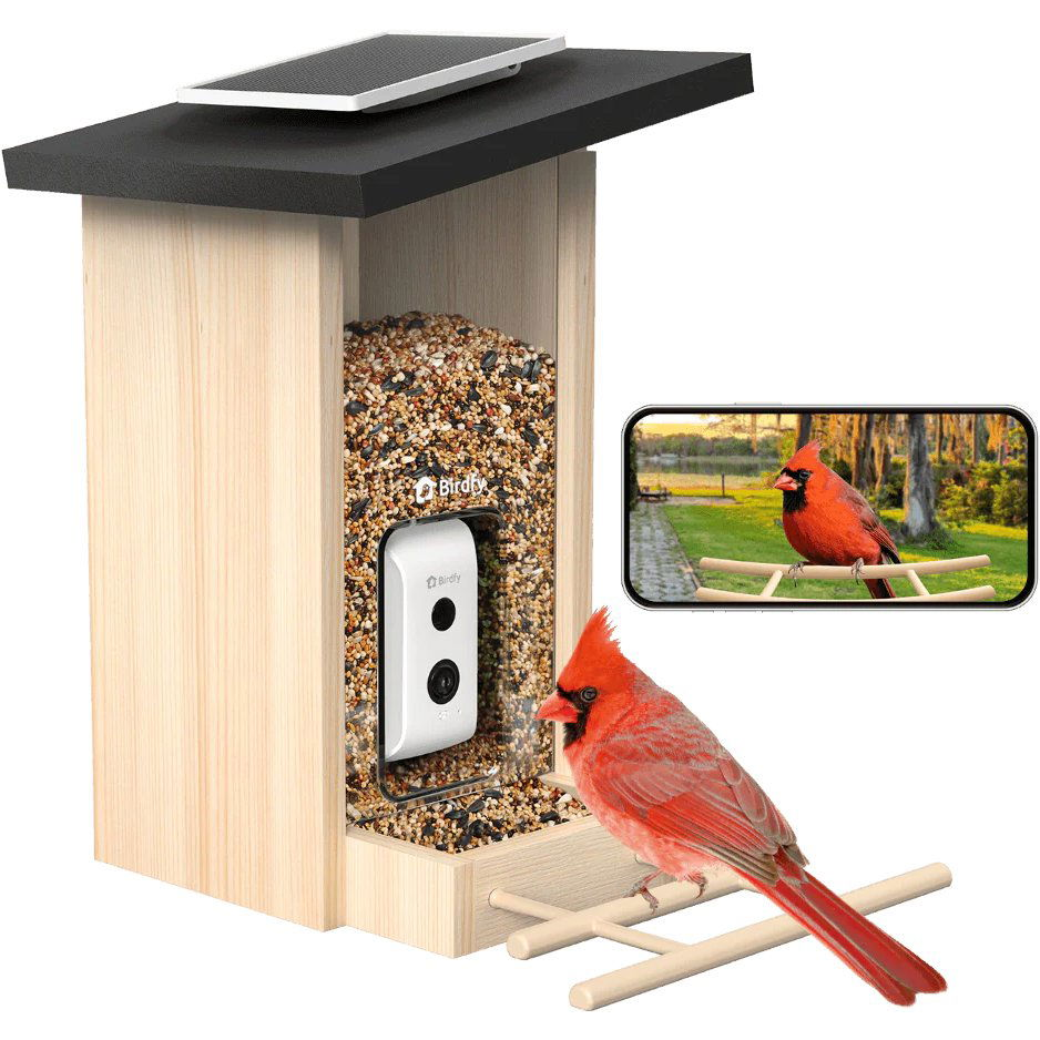 Birdfy Feeder Ebony (AI předplatné) (EPPAMBNI8702110)