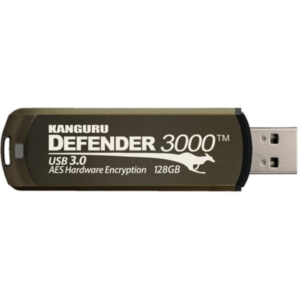 iStorage Kanguru Defender 3000 USB flash drive 32 GB USB Type-A 3.2 Gen 1 (3.1 Gen 1) Bruin