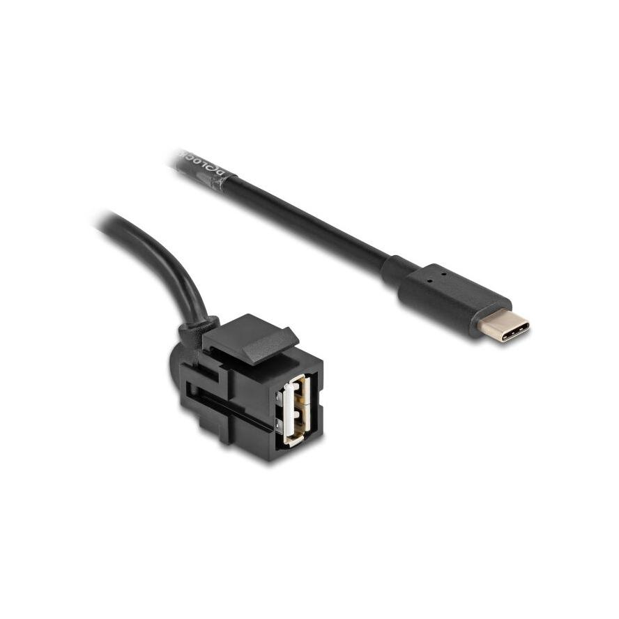 Delock Keystone modul, USB 2.0 A-anya > USB Type-C apa 250 , kábellel 0,5 m (88056)