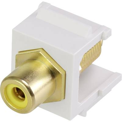 Renkforce RF-KS-RCAFG RCA beépíthető modul Keystone (RF-3434014)