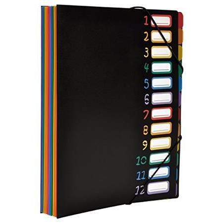 Папка Viquel Rainbow Class,12 части
