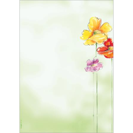 SIGEL Spring Flowers Motivpapier DIN A4 90 g/m²