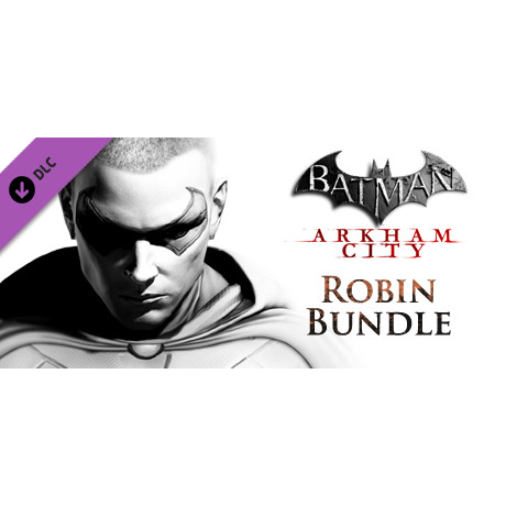 Batman Arkham City: Robin Bundle