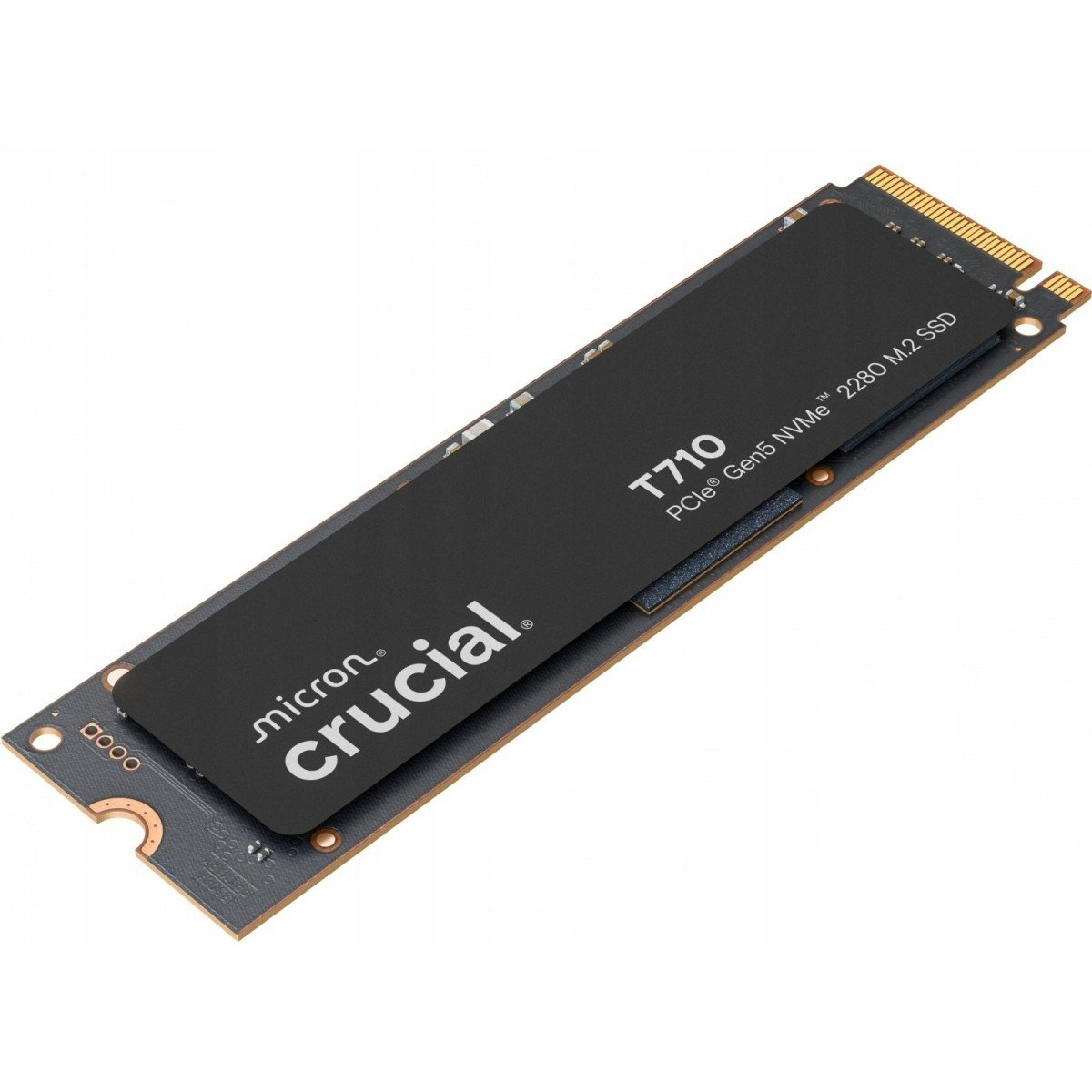 Crucial T710 1TB PCIe Gen5 NVMe M.2 SSD (CT1000T710SSD8)