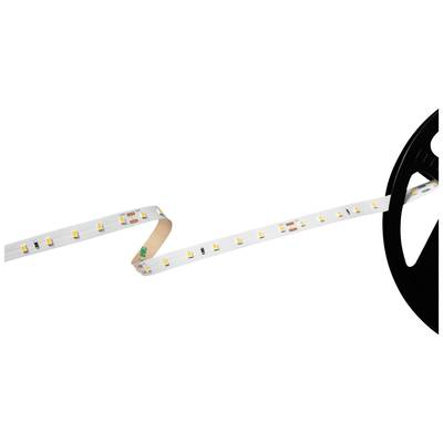 Barthelme Basic 70 (51541228) LED csík EEK: F (A - G) Nyílt kábelvég 24 V 5 m Melegfehér (51541228)