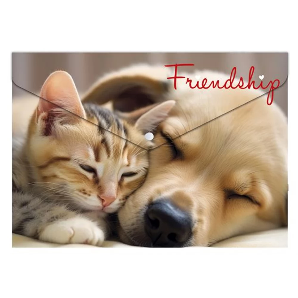 Panta Plast Friendship A4 180 mikronos irattartó tasak - Mintás (0410-0063-55)