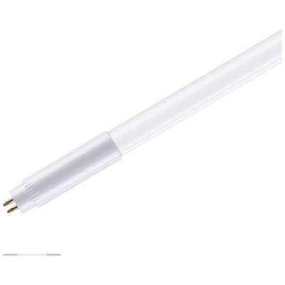 Paulmann LED csövek EEK: F (A - G) G5 7.5 W Semleges fehér (O x H) 18 mm x 301 mm 1 db (29108) (29108)