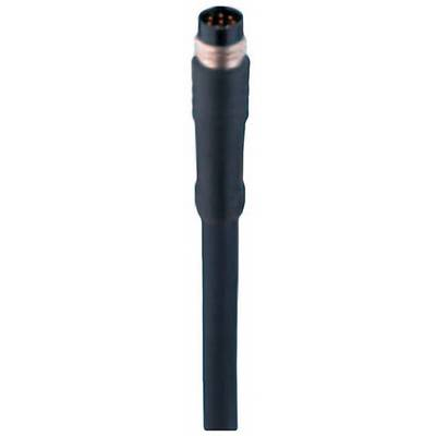 Belden 934636169-1 Érzékelő-/működtető összekötő, konfekcionált M8 Dugó, egyenes 2.00 m Pólusszám: 8 1 db (934636169-1)