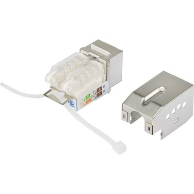 RJ45 beépíthető modul Keystone CAT 6A Renkforce 1616199 (RF-4848597)