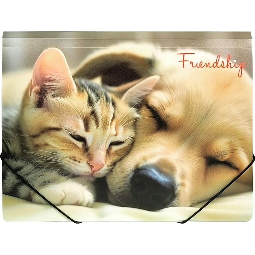 GUMIS MAPPA, 15 MM, PP, A4 (5902156065450)