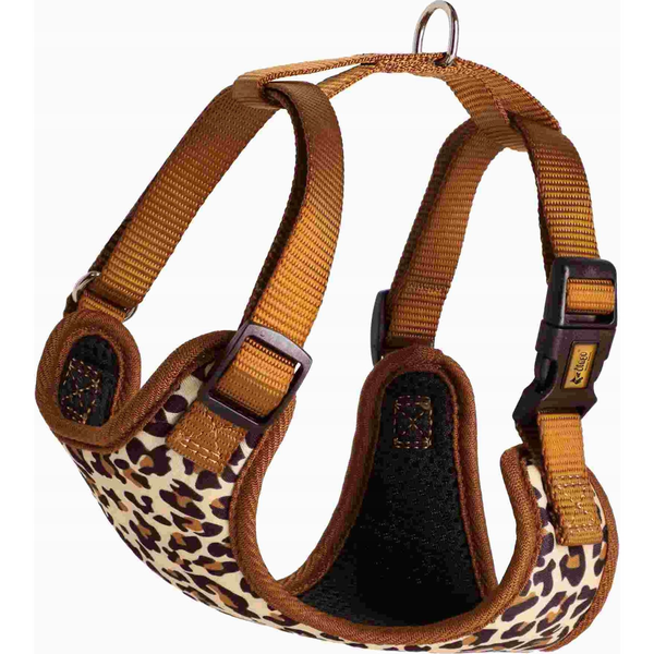  Dingo DINGO SZELKI BEZUCISKOWE XS               1,5cm/25-35cm LEOPARD