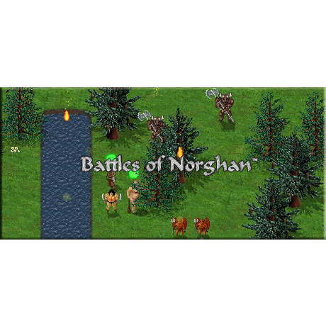 Battles of Norghan (PC - Steam elektronikus játék licensz)