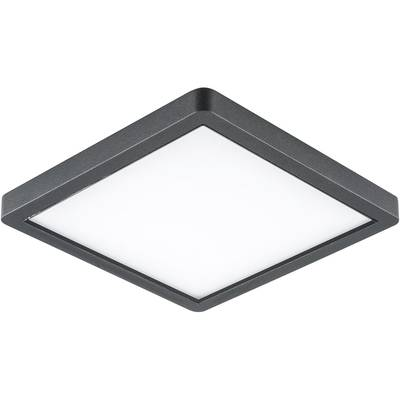EVN DAQG54151502 EVN Lichttechnik LED-es mennyezeti lámpa 15 W Antracit (DAQG54151502)