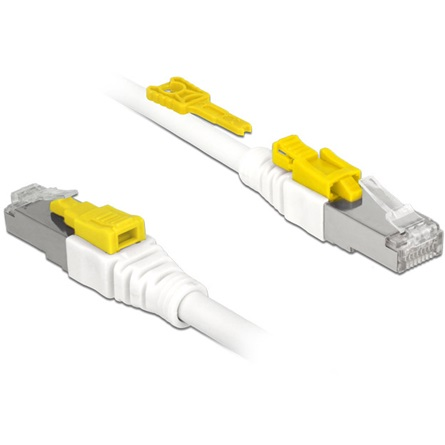 Kabel RJ45 Secure Cat.6A 2m Delock 85332