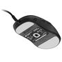 Endgame Gear XM2 8k Vezetékes Gaming Egér - Dark Frost