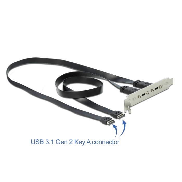 Delock Csatlakozó aljzat 2 x USB Type-C porttal (89935) (89935)