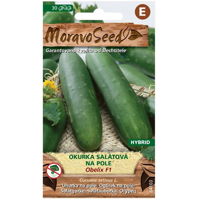 Saláta uborka OBELIX F1 - hibrid, kerti (2127mm)