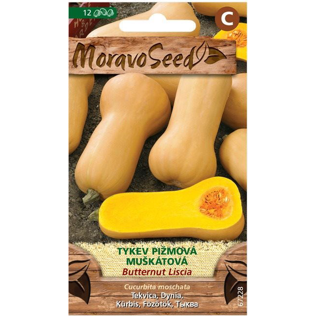 Pézsmatök, futó (3882mm)