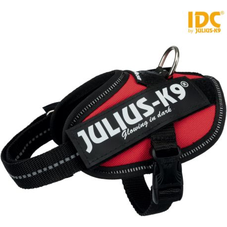 16IDC-R-MM IDC Powerhám Felirattal Mini XS 40-53 cm/4-7 kg Piros (TX-14823)