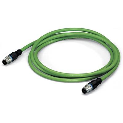 WAGO 756-1203/060-020 Érzékelő-/működtető adatösszekötő, konfekcionált M12 Dugó, egyenes 2.00 m Pólusszám: 4 1 db (756-1203/060-020)