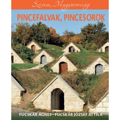 Pincefalvak, pincesorok (BK24-203153)