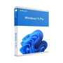 Microsoft Windows 11 Professional 64 bit DSP OEI DVD HUN
