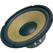 8" DBS-G8002 4 Ohm Hangszóró (G8002-4)