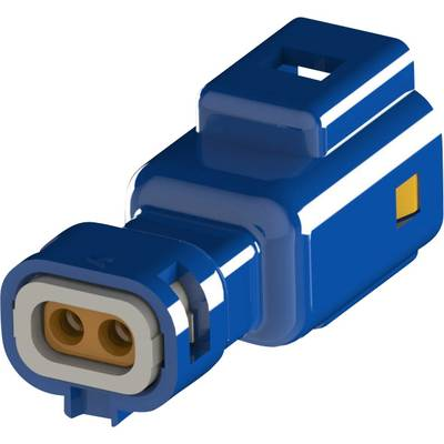 EDAC Stift ház kábel 560 Pólusok száma 2 Raszterméret: 2.50 mm 560-002-000-311 1 db (560-002-000-311)