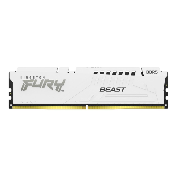 Kingston Technology FURY Beast memoria 1 x 16 GB