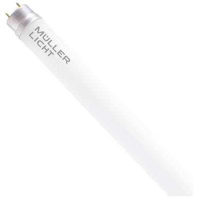 Müller-Licht LED csövek EEK: C (A - G) G13 Cső forma 15.6 W Nappalifény fehér (O x H) 28 mm x 1200 mm 1 db (401083) (401083)