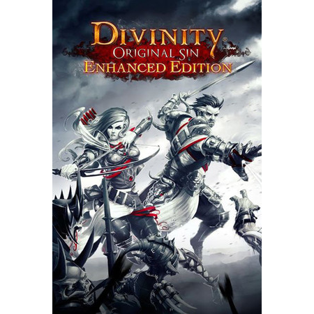 Divinity: Original Sin Enhanced Edition