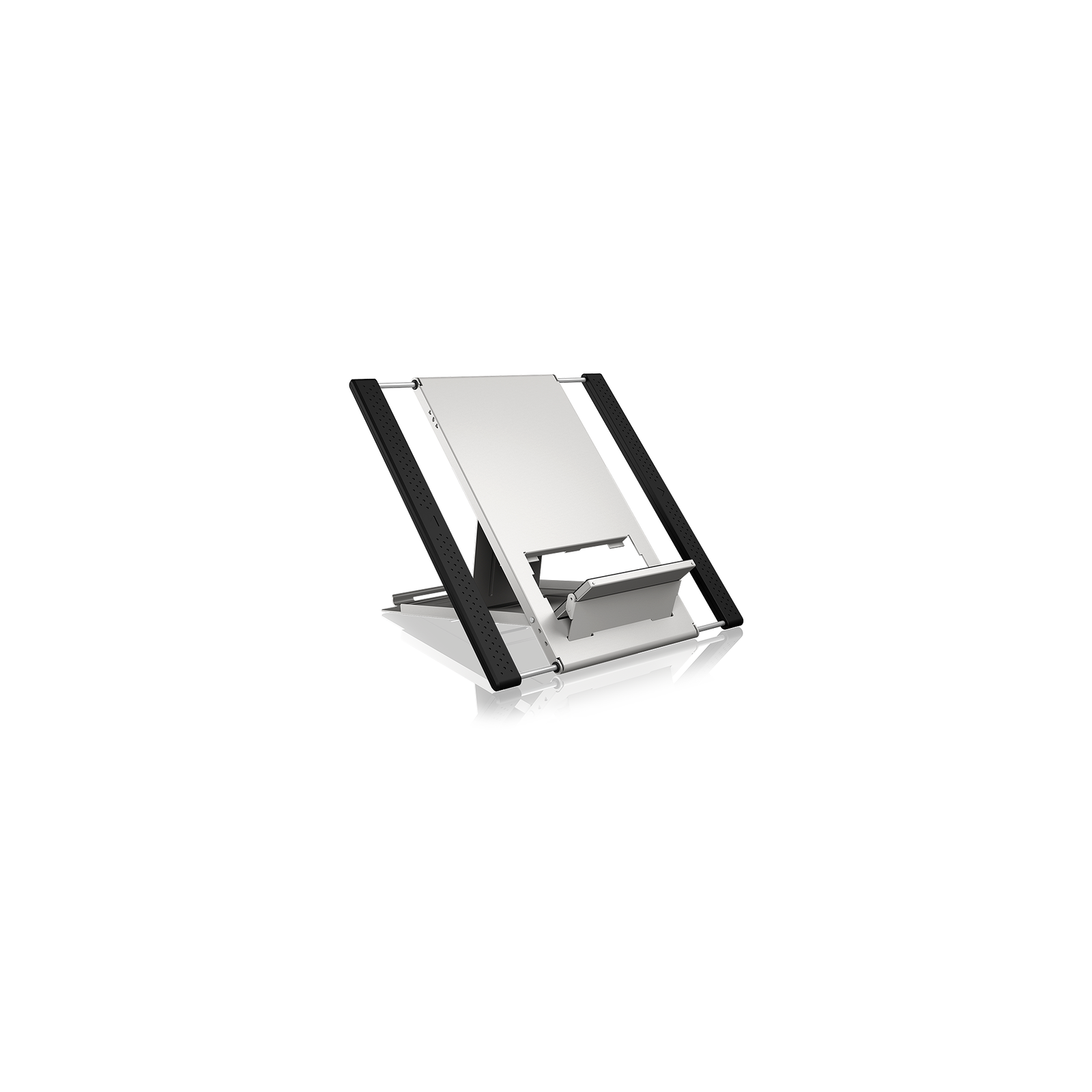 RaidSonic IB-LS300-LH 10-22