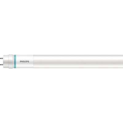 Philips MASTER LED 64695000 energy-saving lamp 6500 K 20,5 W G13
