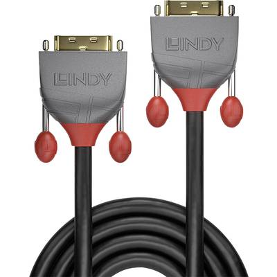 Lindy 36221 DVI kabel 1 m DVI-D Zwart