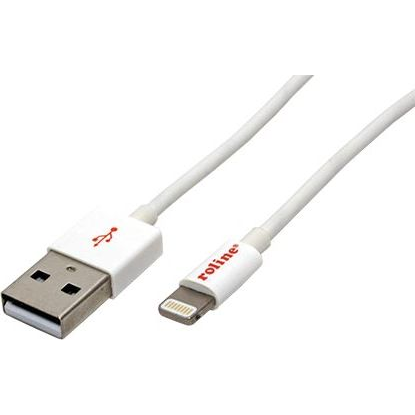ROLINE 8PIN/USB LADE-/SYNCHROKABEL