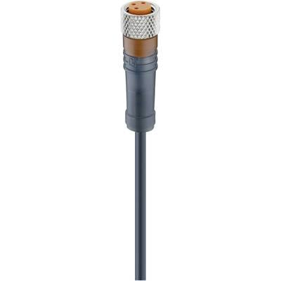 Lumberg Automation 28383-1 Érzékelő-/működtető összekötő, konfekcionált M8 Alj, egyenes 2.00 m Pólusszám: 4 1 db (28383-1)
