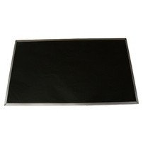 Lenovo 04X5916 laptop reservedel Skærm