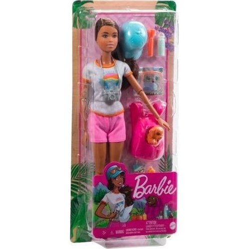 Barbie Fashionistas HNC39 bambola