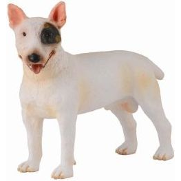 Bull Terrier Machomcollecta