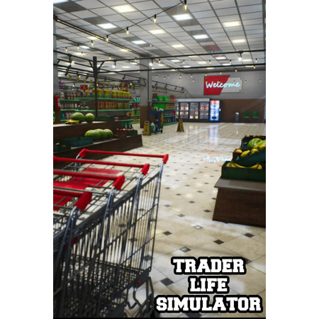 Trader Life Simulator