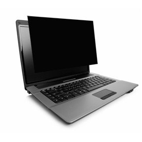 Kensington K55784WW schermfilter 39,6 cm (15.6")
