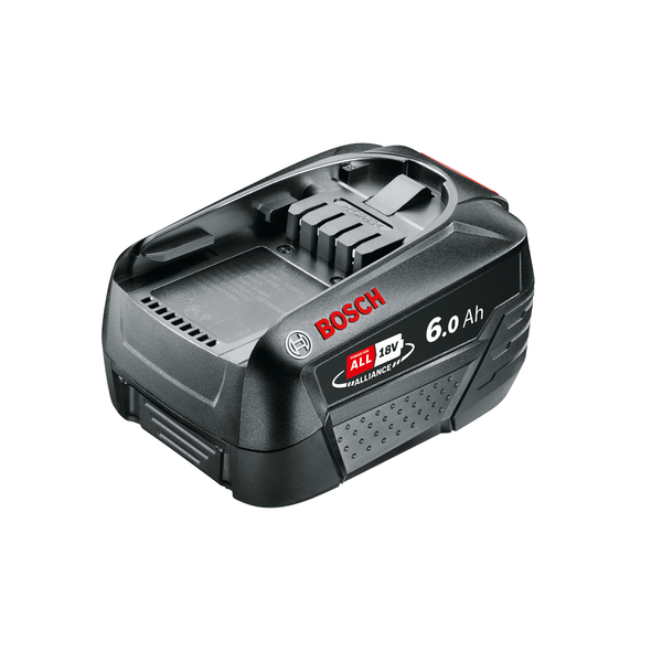 Bosch 1600A00DD7 Batteria