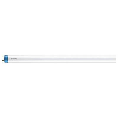 Philips 42105900 energy-saving lamp Chladný odtieň denného svetla 6500 K 8 W G13 E (42105900)